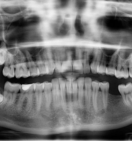 Picture 10 Facts that Sound Fake But are 100% True