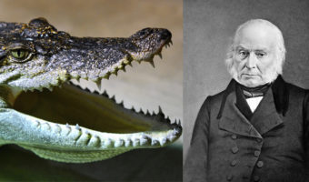 Picture 10 Really Cool Historical Facts You Might Not Know