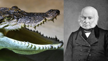 Picture 10 Really Cool Historical Facts You Might Not Know