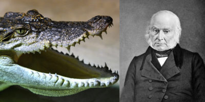 Picture 10 Really Cool Historical Facts You Might Not Know