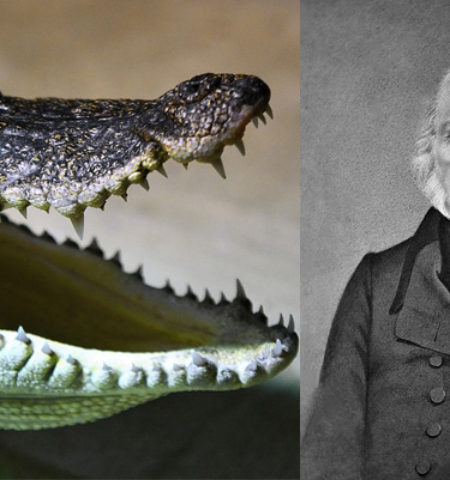 Picture 10 Really Cool Historical Facts You Might Not Know