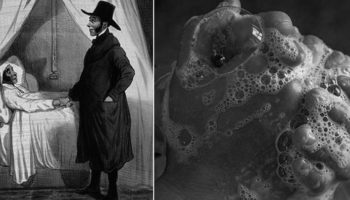 Picture 10 Crazy Things Scientists Used to Believe