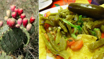 Picture 11 Unusual Things that are Actually Edible