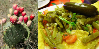 Picture 11 Unusual Things that are Actually Edible