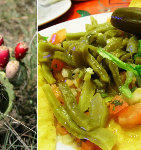 Picture 11 Unusual Things that are Actually Edible