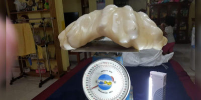 Picture 10 Times People Did Not Realize the Worth of their Discoveries