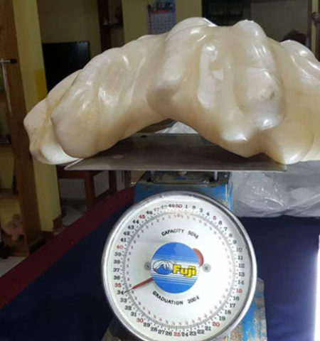 Picture 10 Times People Did Not Realize the Worth of their Discoveries