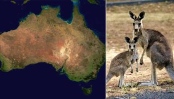 Picture 10 Statistics that Sound Exaggerated but Are 100% True