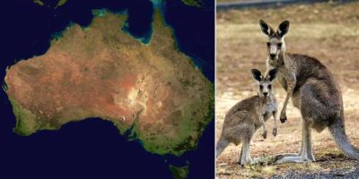 Picture 10 Statistics that Sound Exaggerated but Are 100% True