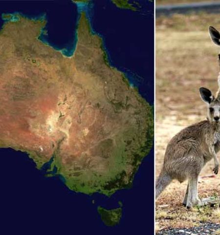 Picture 10 Statistics that Sound Exaggerated but Are 100% True