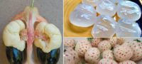 Picture 12 Fruits and Vegetables You’ve Probably Never Heard of