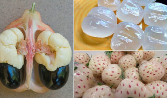 Picture 12 Fruits and Vegetables You’ve Probably Never Heard of