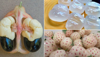 Picture 12 Fruits and Vegetables You’ve Probably Never Heard of