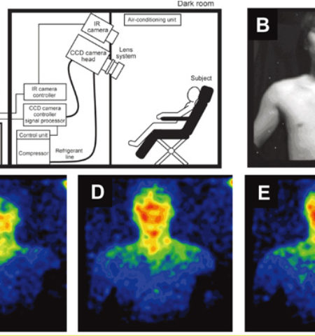 Picture 10 Fascinating Phenomena in the Human Body