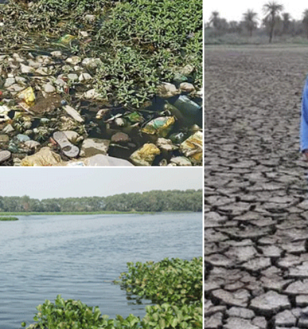 Picture How a 26-Year-Old Is Reviving Dead Lakes in India