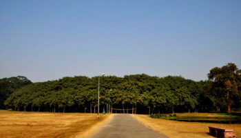 Picture 12 Facts That Sound Made Up But Are Absolutely True