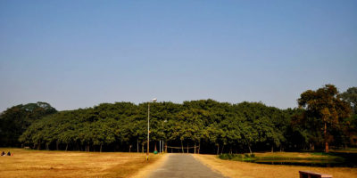 Picture 12 Facts That Sound Made Up But Are Absolutely True