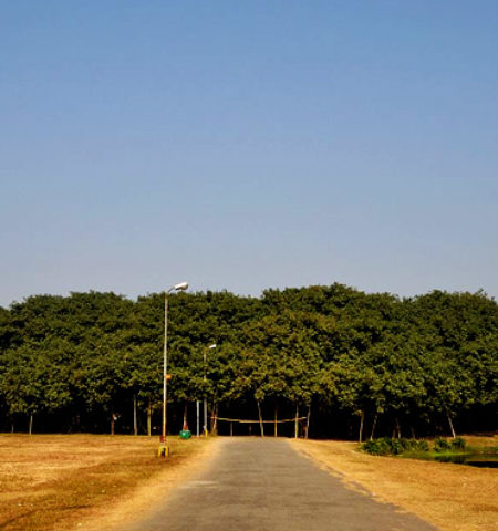 Picture 12 Facts That Sound Made Up But Are Absolutely True