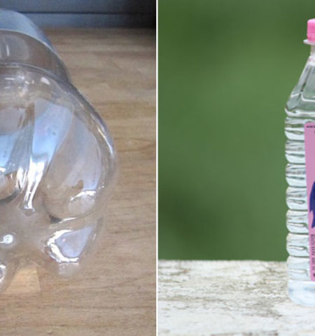 Picture 22 Interesting Facts that You’re too Lazy to Google