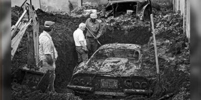 Picture 14 Weird Facts that Are Fun to Know