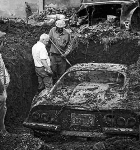 Picture 14 Weird Facts that Are Fun to Know