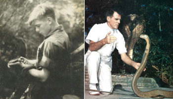 Picture 10 Unusual but Remarkable Stories of Saviors that Deserve a Mention