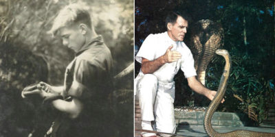 Picture 10 Unusual but Remarkable Stories of Saviors that Deserve a Mention