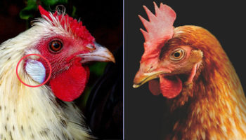 Picture 10 Interesting Facts to Pulverize Your Boredom