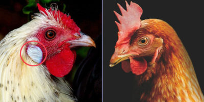 Picture 10 Interesting Facts to Pulverize Your Boredom