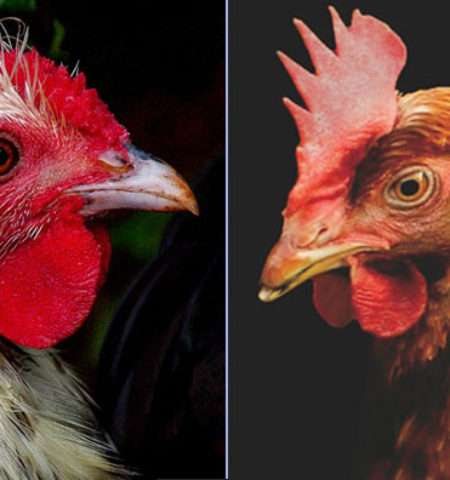 Picture 10 Interesting Facts to Pulverize Your Boredom