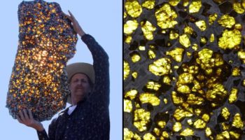 Picture Top 12 Things Most People Have Never Seen or Heard About!