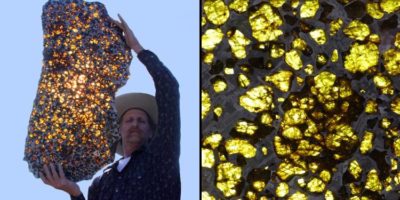 Picture Top 12 Things Most People Have Never Seen or Heard About!