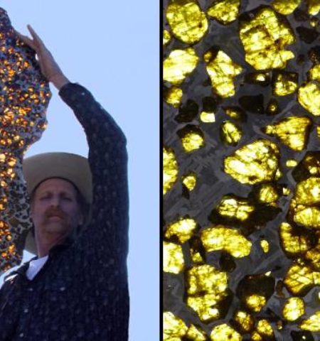 Picture Top 12 Things Most People Have Never Seen or Heard About!