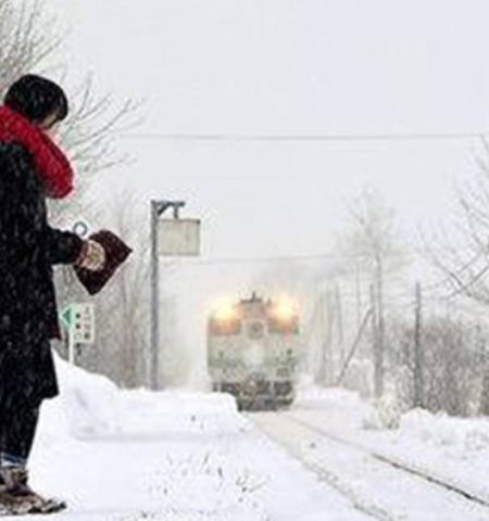 Picture 15 Things that Are Guaranteed to Put a Smile on Your Face!