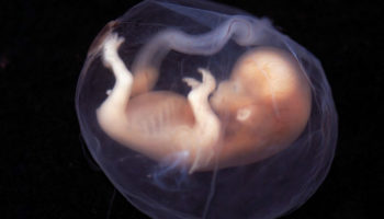 Picture 10 Mind-Boggling Science Facts You Probably Didn’t Know