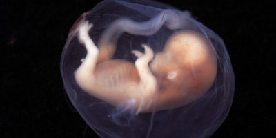 Picture 10 Mind-Boggling Science Facts You Probably Didn’t Know