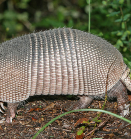 Picture 10 Interesting Facts You Will Want to Tell your Friends