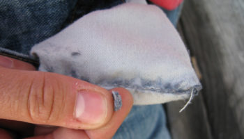 Picture Useless Facts that You Really Don’t Need to Know – Part 2