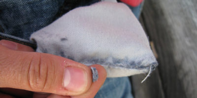 Picture Useless Facts that You Really Don’t Need to Know – Part 2