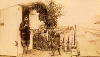 Picture 10 Historical Events that Sound like Fiction but Are Actually Real