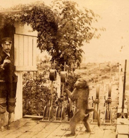 Picture 10 Historical Events that Sound like Fiction but Are Actually Real