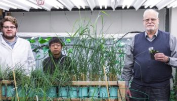 Picture 10 Recent Scientific Breakthroughs and Discoveries that Should get More Attention