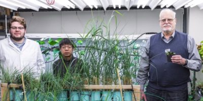 Picture 10 Recent Scientific Breakthroughs and Discoveries that Should get More Attention