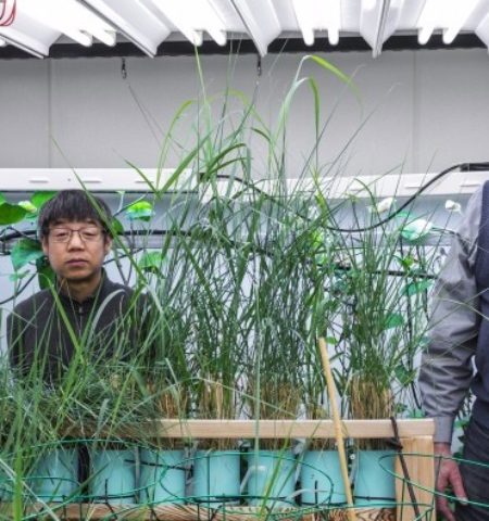 Picture 10 Recent Scientific Breakthroughs and Discoveries that Should get More Attention