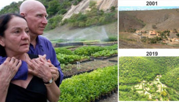 Picture 10 Most Successful Afforestation Efforts that Are Turning the Planet Green