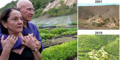 Picture 10 Most Successful Afforestation Efforts that Are Turning the Planet Green