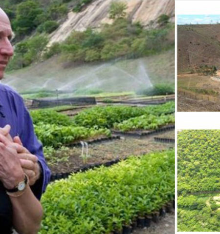 Picture 10 Most Successful Afforestation Efforts that Are Turning the Planet Green