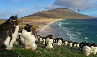 Picture 10 Fascinating Islands You Have Probably Never Heard Of