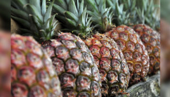 Picture 10 Things that Are Cheaper than Expected