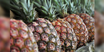 Picture 10 Things that Are Cheaper than Expected